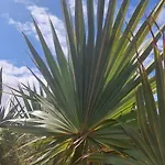 Hipoclub Villas, Aguamarina 30 别墅 普拉亚布兰卡